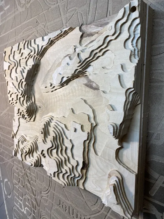 A topographic relief carving